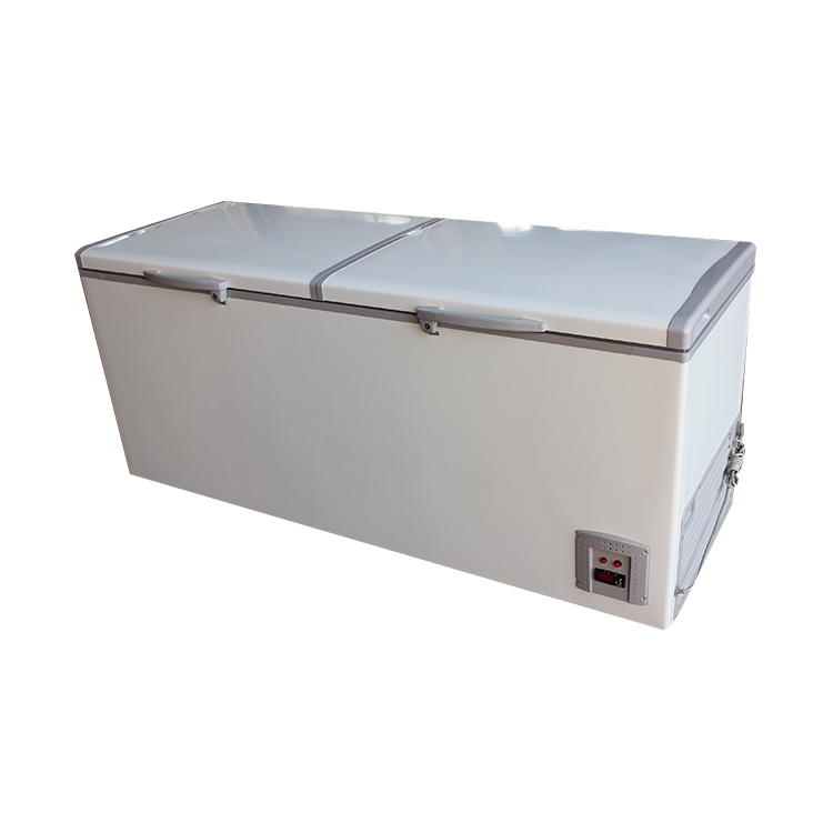 Commercial Double Door Frozen Food Chest Freezer