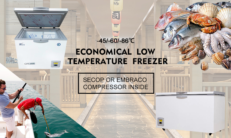 Ultra Low Temperature Horizontal Deep Meet Freezing Freezer 