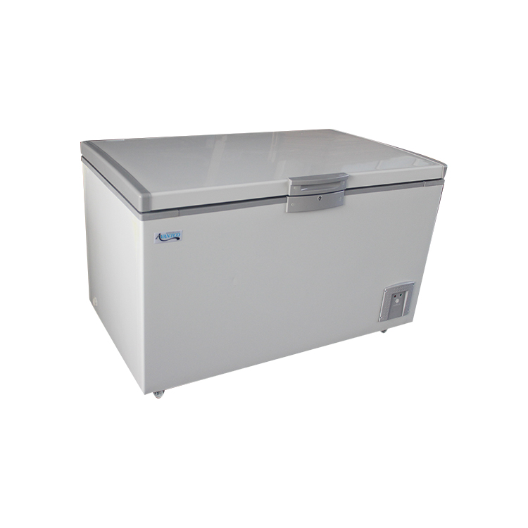 Restaurant Horizontal Shop Freezers For Fish Meat Storage